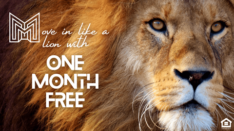 a picture of a lion with the headline one month free